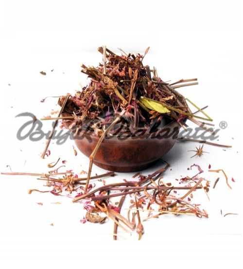 Solucan Otu 20 gr
